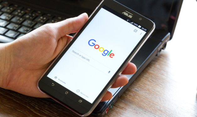 Google Chrome浏览器自动填表功能使用教程