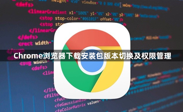 Chrome浏览器下载安装包版本切换及权限管理1