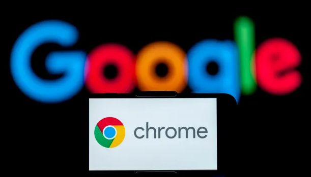 google浏览器风险网页自动标记功能