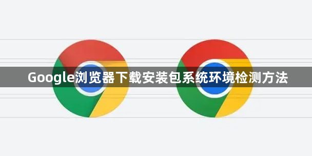 Google浏览器下载安装包系统环境检测方法1