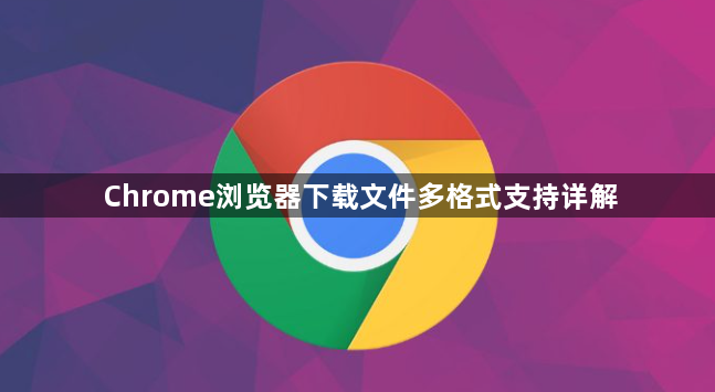 Chrome浏览器下载文件多格式支持详解1