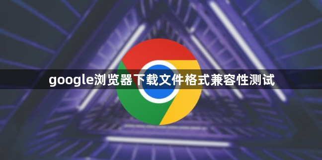 google浏览器下载文件格式兼容性测试1