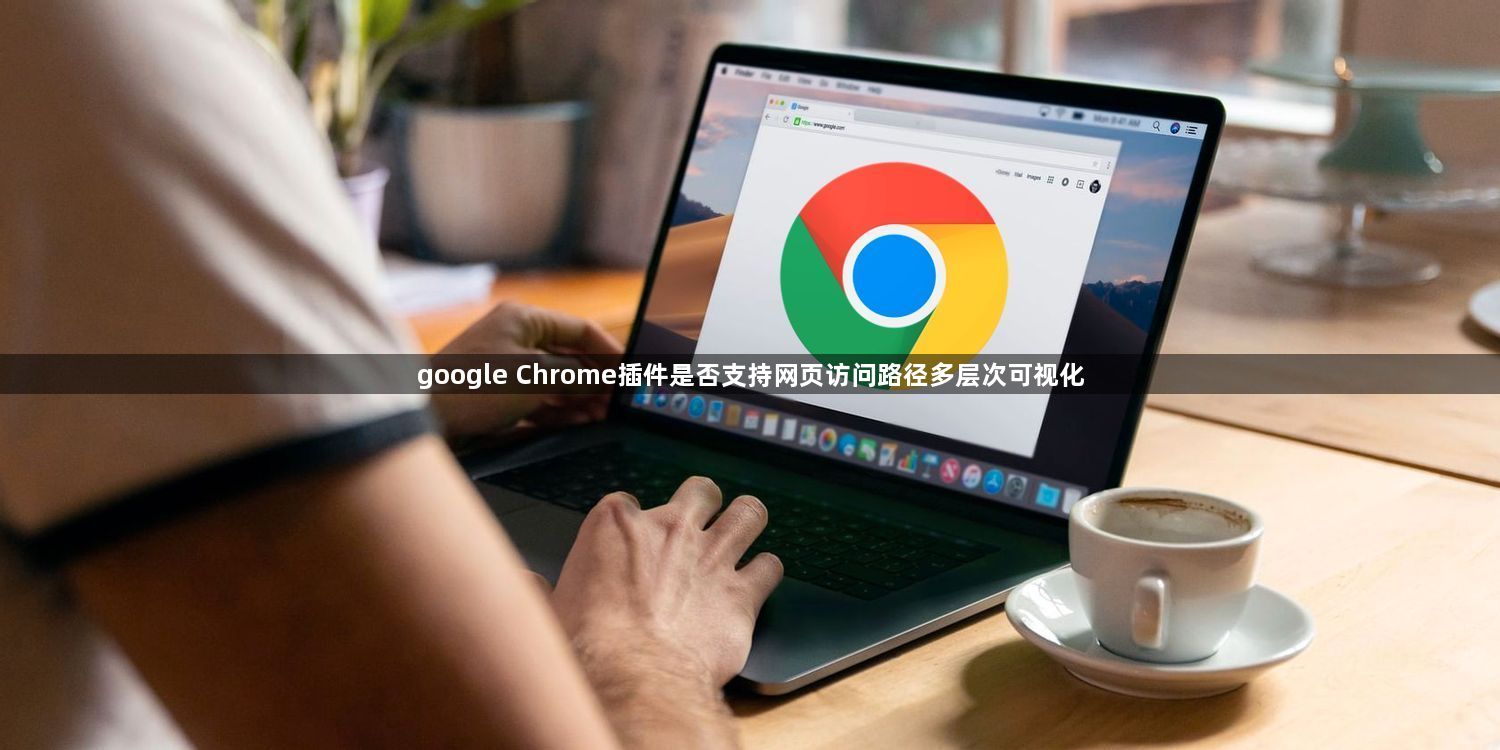 google Chrome插件是否支持网页访问路径多层次可视化1
