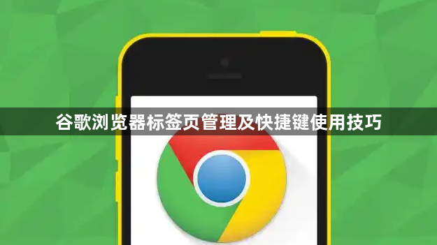 谷歌浏览器标签页管理及快捷键使用技巧1