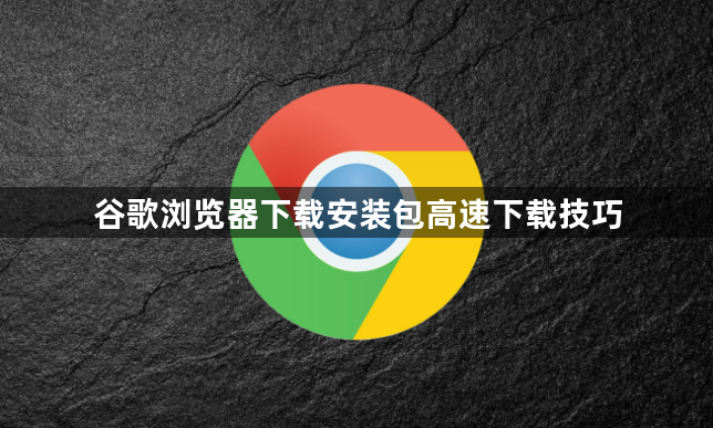 谷歌浏览器下载安装包高速下载技巧1