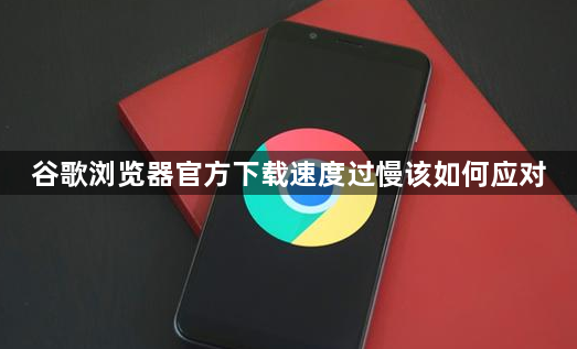谷歌浏览器官方下载速度过慢该如何应对1