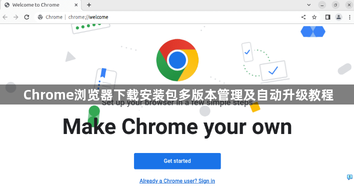 Chrome浏览器下载安装包多版本管理及自动升级教程1