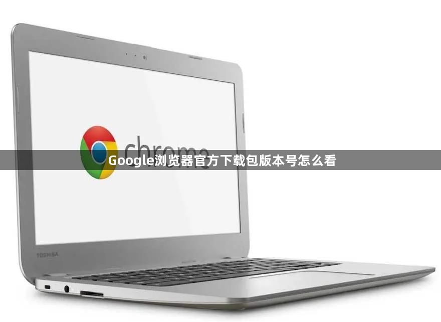 Google浏览器官方下载包版本号怎么看1
