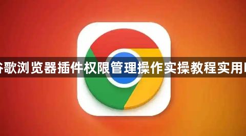 谷歌浏览器插件权限管理操作实操教程实用吗1