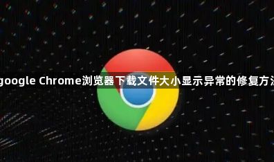 google Chrome浏览器下载文件大小显示异常的修复方法1