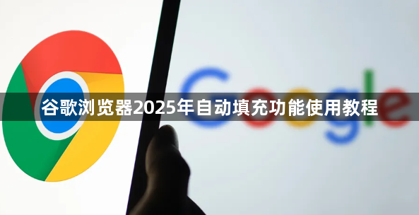 谷歌浏览器2025年自动填充功能使用教程1