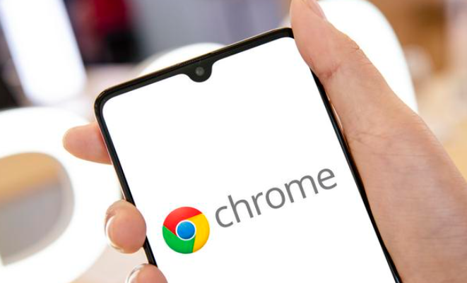 google Chrome浏览器个性化操作经验解析
