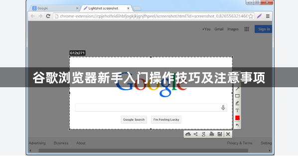 谷歌浏览器新手入门操作技巧及注意事项1
