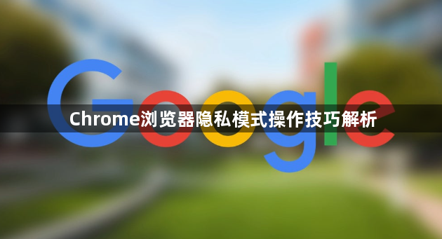 Chrome浏览器隐私模式操作技巧解析1