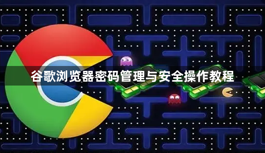 谷歌浏览器密码管理与安全操作教程1