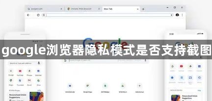 google浏览器隐私模式是否支持截图1