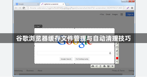 谷歌浏览器缓存文件管理与自动清理技巧1
