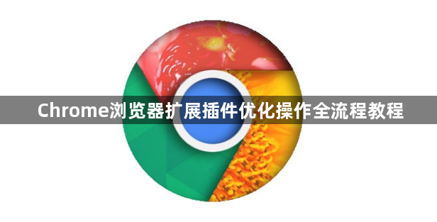 Chrome浏览器扩展插件优化操作全流程教程1