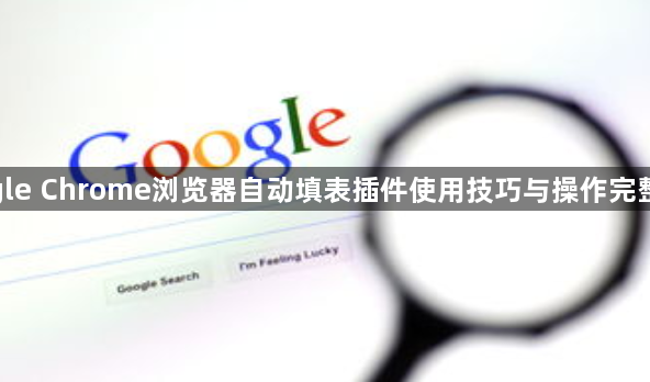 google Chrome浏览器自动填表插件使用技巧与操作完整方案1