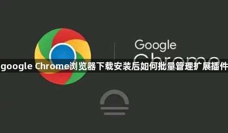 google Chrome浏览器下载安装后如何批量管理扩展插件1