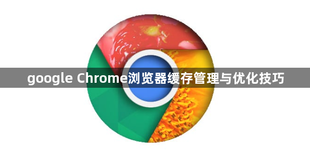 google Chrome浏览器缓存管理与优化技巧1